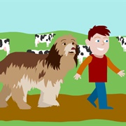 Come Outside Farm Game