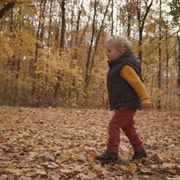 Crunch Through Autumn Leaves