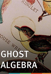 Ghost Algebra (2010)