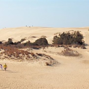Jockey's Ridge