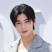 Cha Eunwoo