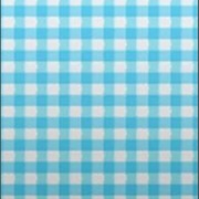 Deposit 10 Pokémon With a Hasty Nature!