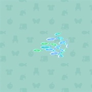 Lucent School of Fish