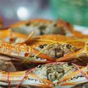 Blue Crab (Portunus Pelagicus)