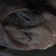 Croatian Amor - Love Means Taking Action