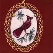 Friko - Where We've Been, Where We Go From Here