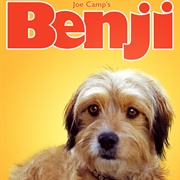 Benji