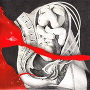 The Unified Field - IAMX