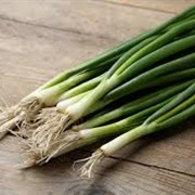 Spring Onions