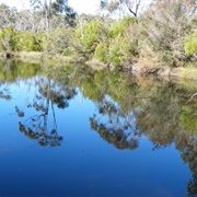 Dharawal National Park