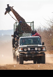 A Moveable Beast (Ernest Hemingway)