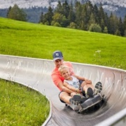 Ride a Luge in Switzerland