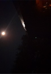 Hellebore 5: The Unearthing Issue (Maria J. Perez Cuervo)