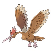 Fearow