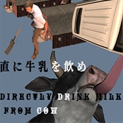 Directly Drink Milk From Cow