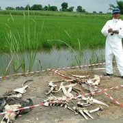 Body Farm in Pennsylvania