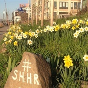 Smiling Hogshead Ranch