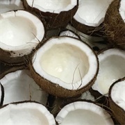 Coconut