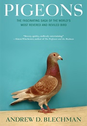 Pigeons: The Fascinating Saga of the World's Most Revered and Reviled Bird (Blechman, Andrew D.)
