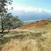 Kahikinui Forest Reserve