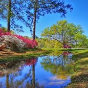 Callaway Gardens (Georgia)