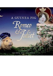 A Guinea Pig Romeo & Juliet (Tess Newall & Alex Goodwin)