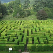 Escape a Hedge Maze