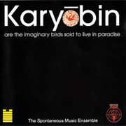 Spontaneious Music Ensemble - Karyobin