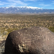 Chihuahuan Desert (United States, Mexico)