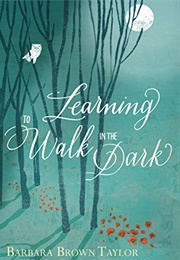 Learning to Walk in the Dark: Because Sometimes God Shows Up at Night (Taylor, Barbara Brown)