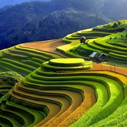 Mu Cang Chai, Vietnam