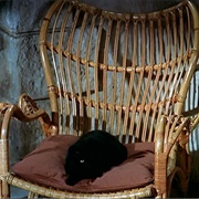 A Black Cat (To Catch a Thief, 1955)