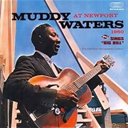 Baby Please Don't Go - Muddy Waters