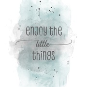 Enjoy the Little Things