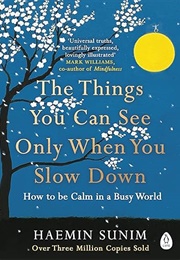 The Things You Can See Only When You Slow Down (Haemin Sunim)