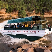 Original Wisconsin Ducks