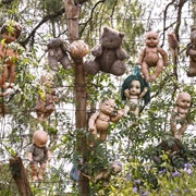 The Island of Dolls, Mexico