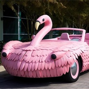 Car Flamingo 2