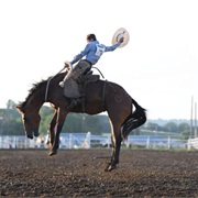 Cavalcade Rodeo- Pawhuska, OK
