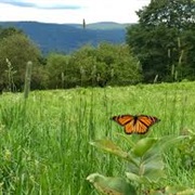 Balch Hill, Hanover, NH