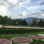Yuzhen Park, Sofia