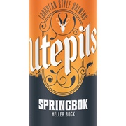 Utepils Springbok