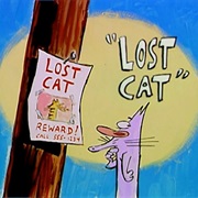 S2.E12: Lost Cat