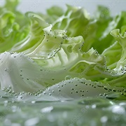 Glacier Infused Iceberg Lettuce