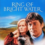 Ring of Bright Water (Film)