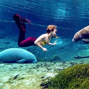 Weeki Wachee Springs Mermaids, Florida
