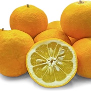 Sour Oranges
