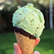 Mint Choc Chip Ice Cream