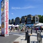 NW Raspberry Festival, Lynden, WA (July)