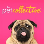 The Pet Collective